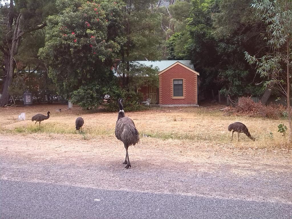 Heatherlie Cottages Halls Gap Exterior foto